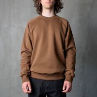  Толстовка мужская Carhartt WIP Chase Sweatshirt артикул:I033660_chocolate - купить в магазине Дайс