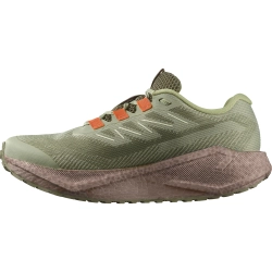 Кроссовки для бега Salomon AERO BLAZE 3 GRVL GORE-TEX Tea / Iron / Burnt Ochre