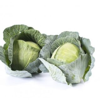 Капуста  белокочанная  Топма F1 1000 (семян)