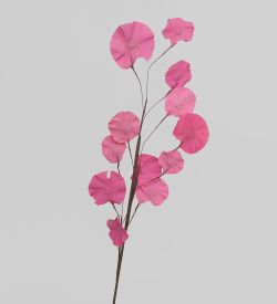 TRN 230 Цветной горошек