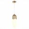 Подвесной светодиодный светильник ST Luce Mofisto SL1579.303.02