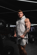 Шорты Training Shorts HERO 295 Серые