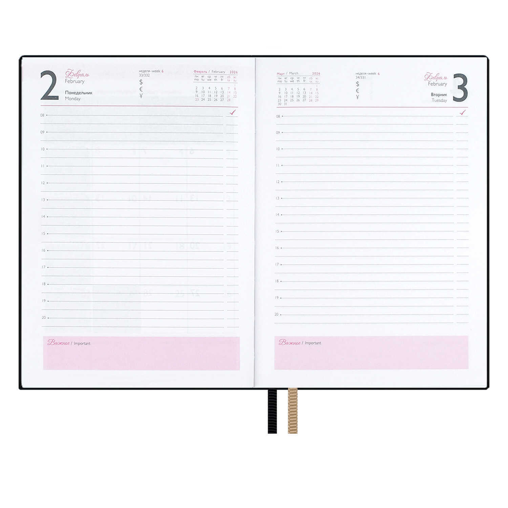 Ежедневник датированный 2026 ESCALADA, А6, 120 л., арт. 70315/ 20 БЕЙБИСКИН ЧЁРНЫЙ (кожзам: 105x150 мм, мягкий переплёт, материал обложки: искусственная кожа "Бейбискин"; декор: тиснение фольгой; способ крепления блока: ниткошвейный; вн. блок: 120 л.