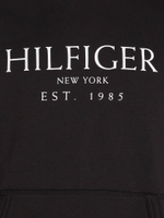 Худи Tommy Hilfiger - черный(MW0MW35523)