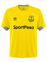 Футболка футбольная Эвертон 2018/2019 тренировочная