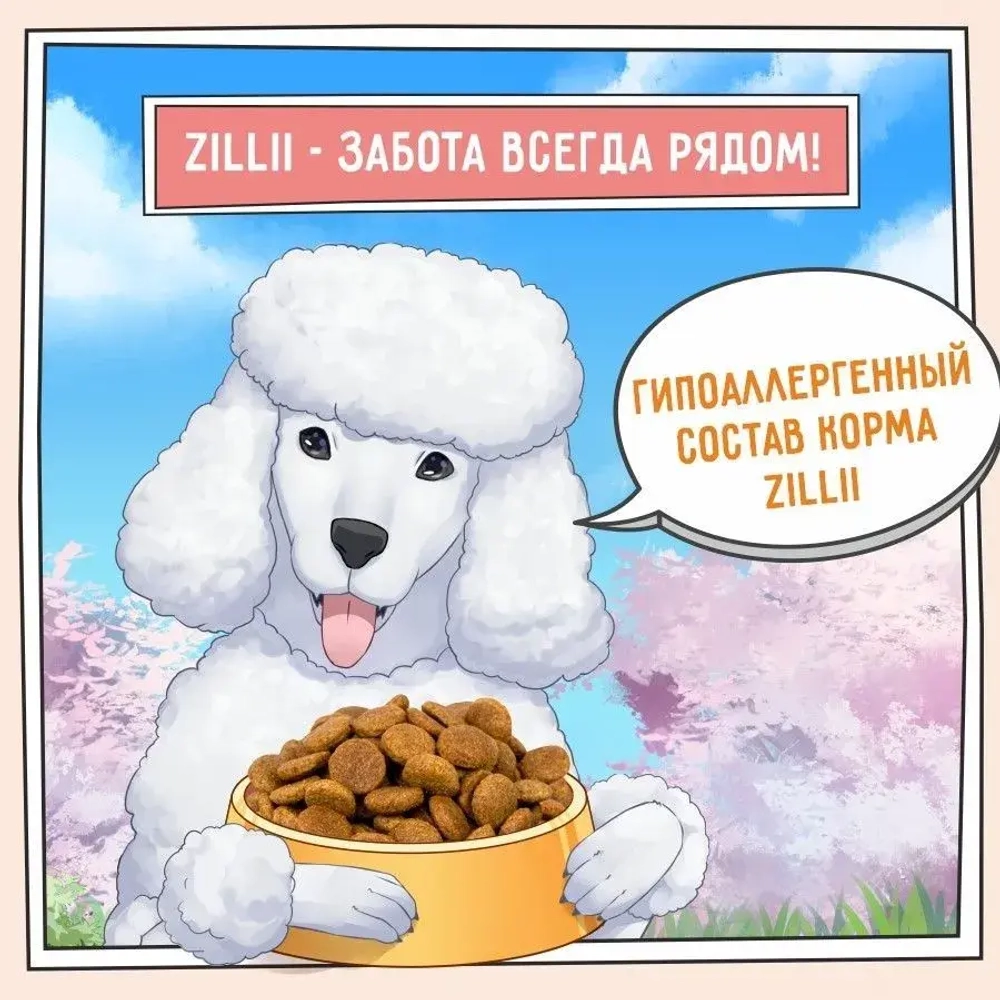 Сухой корм собак ZILLII (Зилли) Dog Adult 15кг белая рыба и лосось