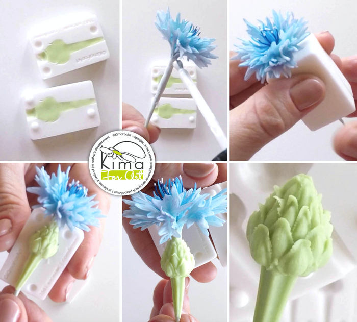 Василек обертка соцветия