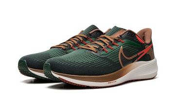 Кроссовки Nike Air Zoom Pegasus 39 "A.I.R. Hola Lou"