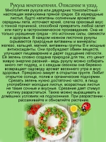 Рукула многолетняя
