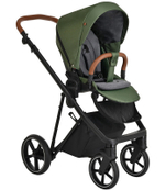 Детская коляска Roan Sol 2 в 1 RSL/1013 Boho Green