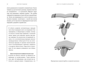Мозг в стадии разработки. Потрясающие факты об умственном развитии от зачатия до взросления. Марсия Годдард
