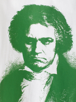 Мужская Футболка Symphony