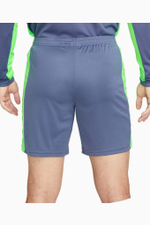 Шорты Nike Dri-FIT Academy
