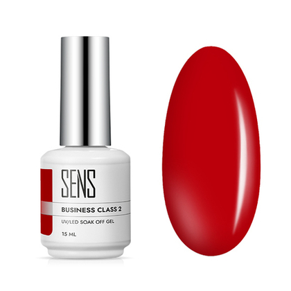 Гель-лак BUSINESS CLASS 2