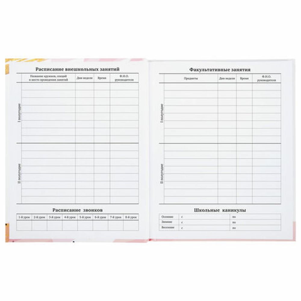 Дневник 1-11 класс 40 л., твердый, BRAUBERG, глянцевая ламинация, "Vision", 106380