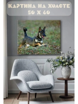 Картина на стену 40 X 50 Собака