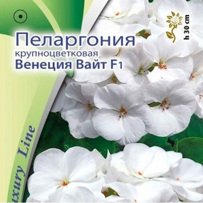 Пеларгония крупноцветковая Венеция Вайт F1