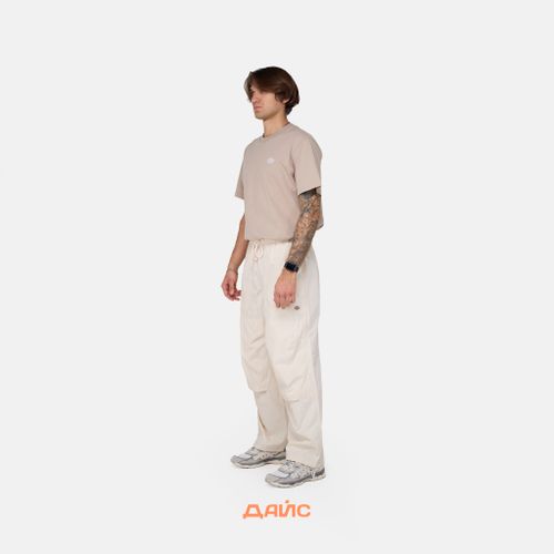 Брюки мужские Dickies Fishersville Pant  артикул:DK0A4YSDF901 - купить в магазине Дайс