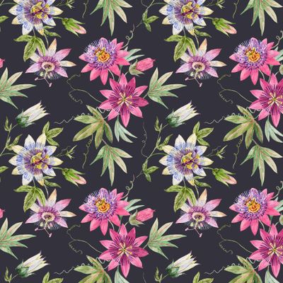 passionflower (black)