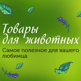 Товары для животных