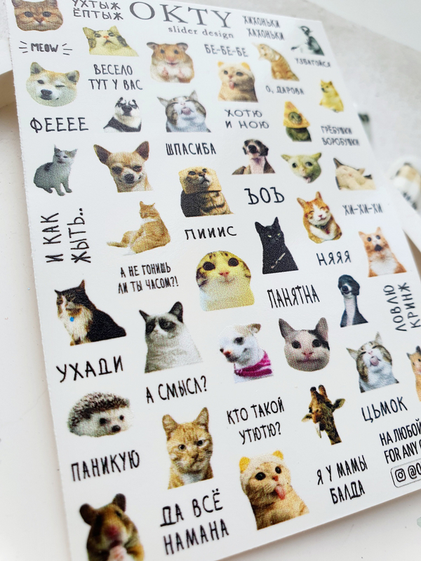 Слайдер - дизайн OKTY tr-042