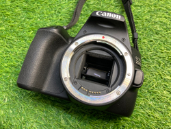 Canon 250D Kit 18-55mm STM Покупка/Продажа