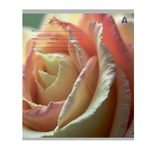 Тетрадь 12л., клетка, Alingar, скрепка, блок офсет, 100% белизна, мелованный картон (стандарт), "Цветы"