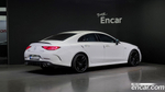 Mercedes-Benz CLS-Class C257 AMG CLS53 4MATIC+ 에디션1 (10.2019)