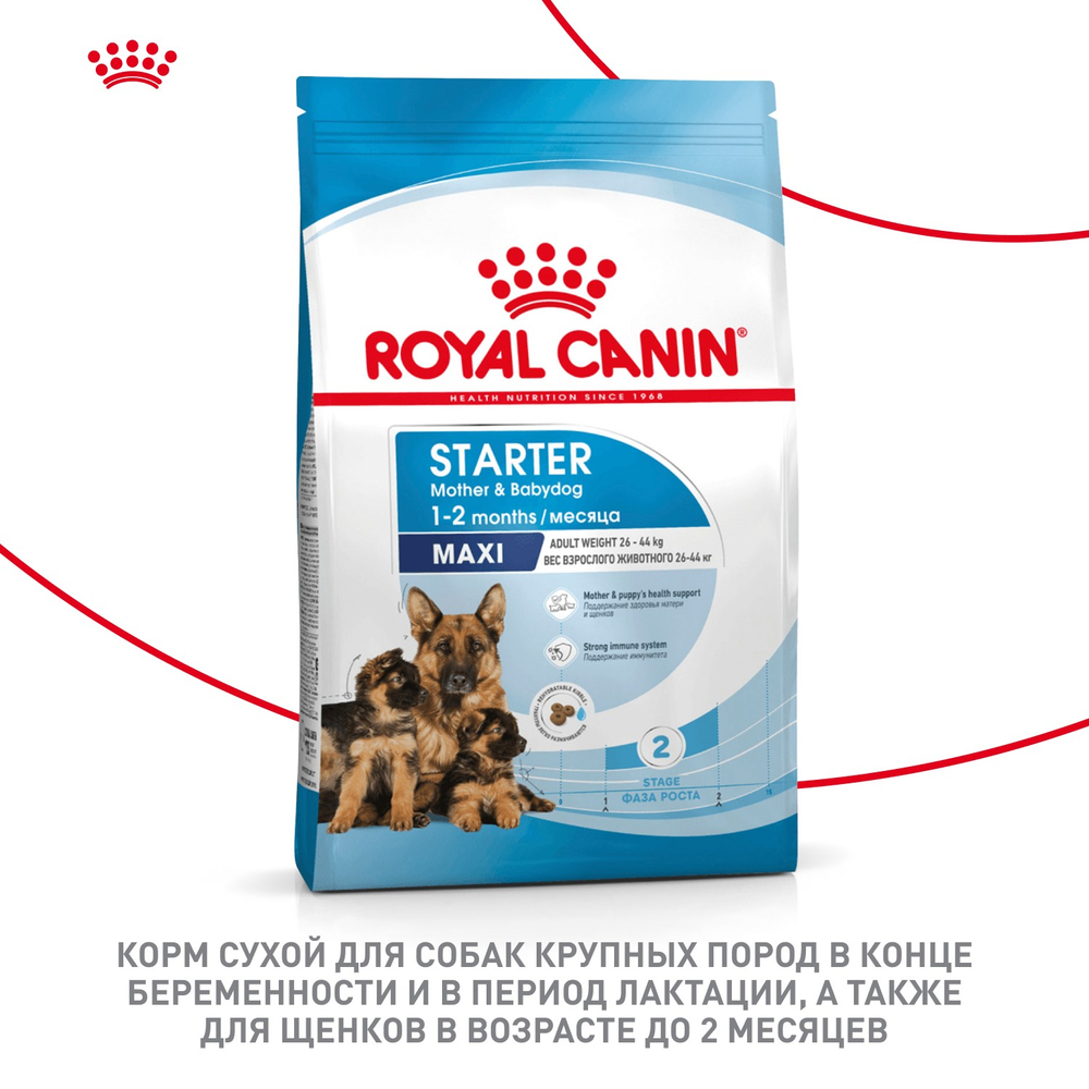 Royal Canin Maxi Starter Макси Стартер мазэ энд бэбидог Корм для щенков крупных пород до 2-х месяцев беременных и кормящих собак 4кг