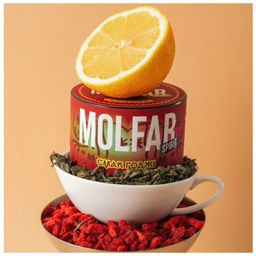 Molfar SL Вкус Годжи 100 г