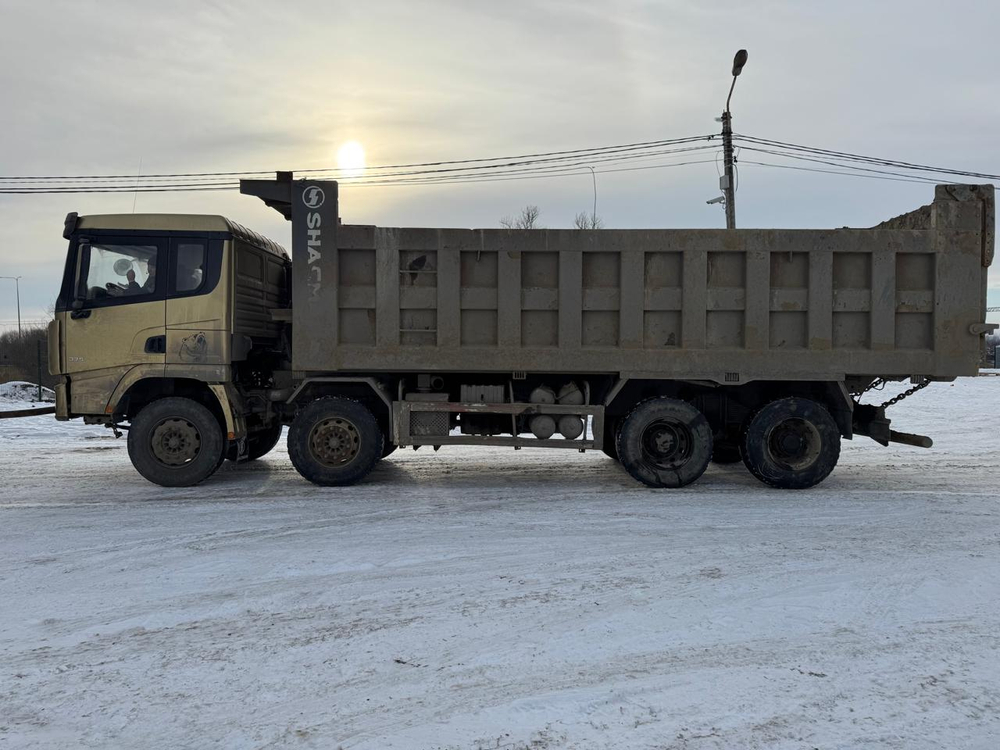 Shacman (Shaanxi) SX* 8x4 Самосвал SX33186T366T (Газ, 11,6 л, 375 л.с., МТ)