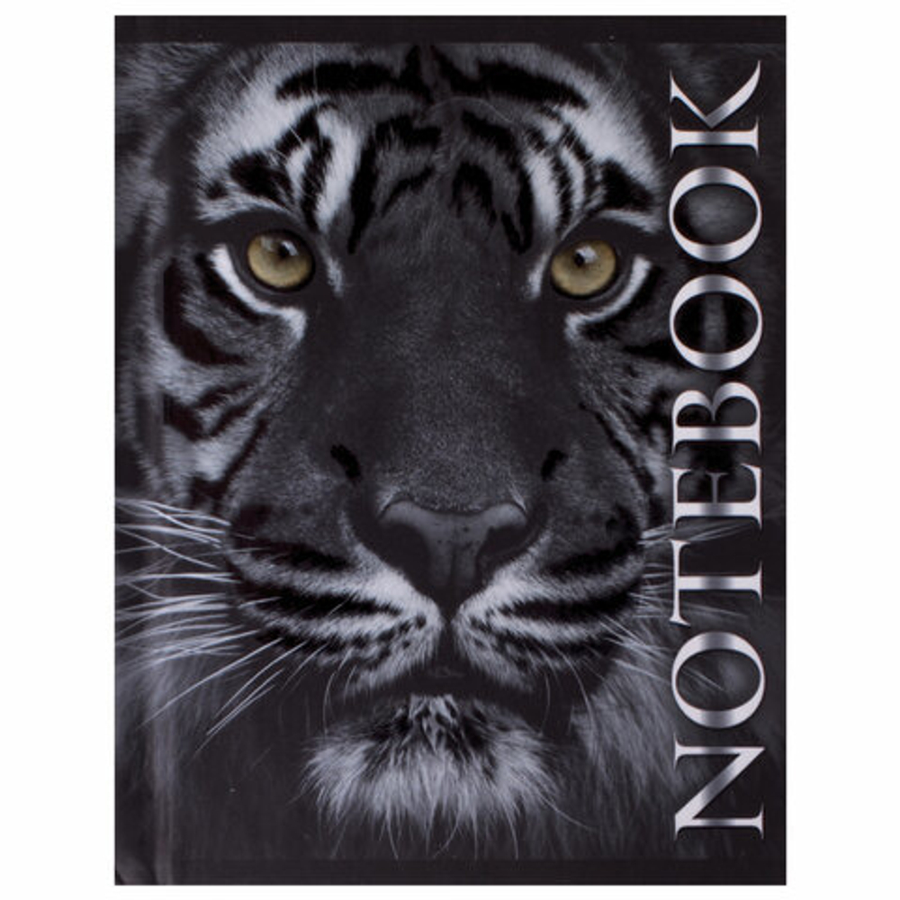 Блокнот МАЛЫЙ ФОРМАТ (110х147 мм) А6, 80 л., ламинированная обложка, выборочный лак, клетка, BRAUBERG, "Тигровый", 123244