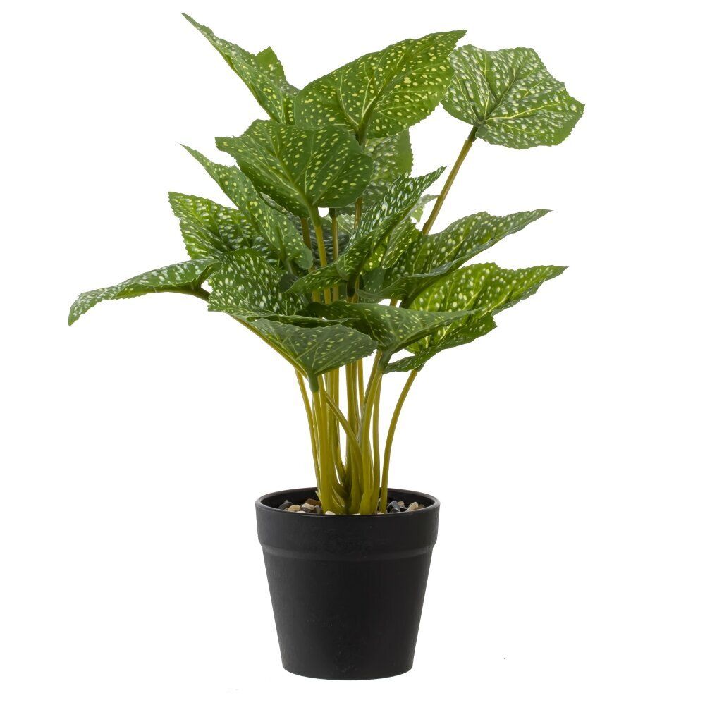 GAEM Цветочная композиция, L25 W25 H30 см, 5в.