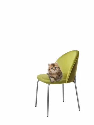 Стул "Мале" 1 шт. Антивандальная ткань, Серебряные ножки