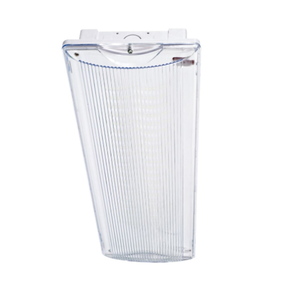 Аварийный светильник светодиодный ЭРА DPA-301-0-65 непостоянный 40LED 3ч IP65