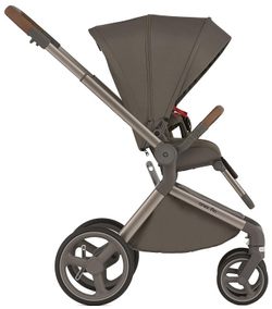 Детская коляска Anex Flo 2 в 1 Cesar