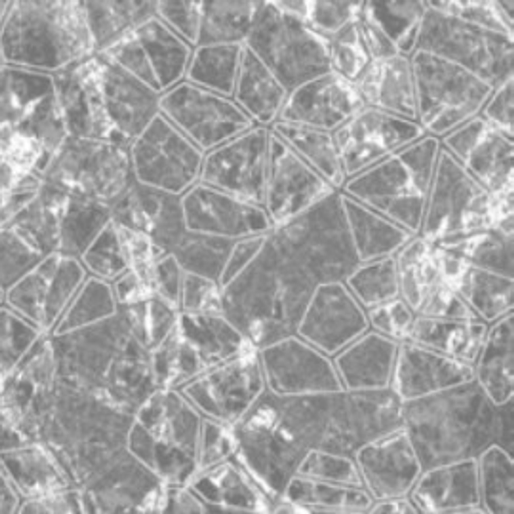 Принт 5-Ти Цветное Полотно p2664a4p 124 Рулон