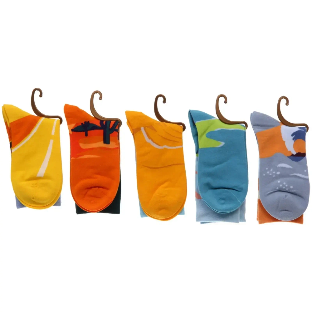 Носки женские «ARTE - Пейзаж» с рисунком, микс