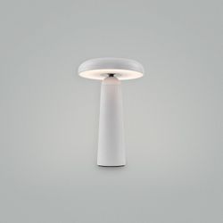 Настольная лампа декоративная Freya Mushroom FR6109TL-L4W