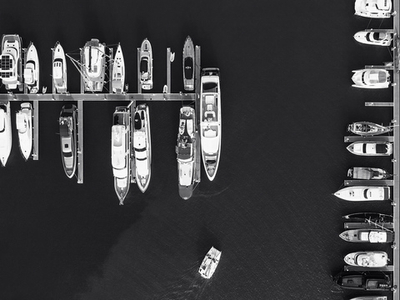 Дизайнерские обои Wall Street Bird see