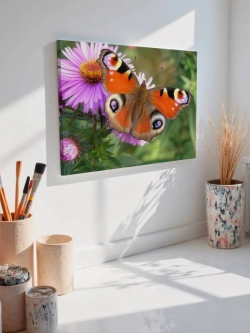 Картина на стену 40 X 50 Бабочка