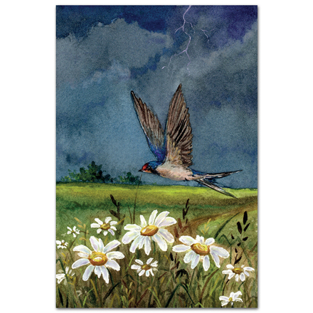 Ласточка в грозу