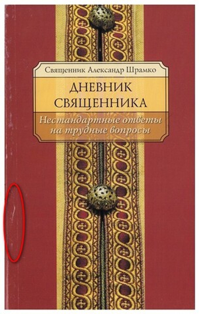 Дневник священника. Нестандартные ответы на трудные вопросы. Священник Александр Шрамко