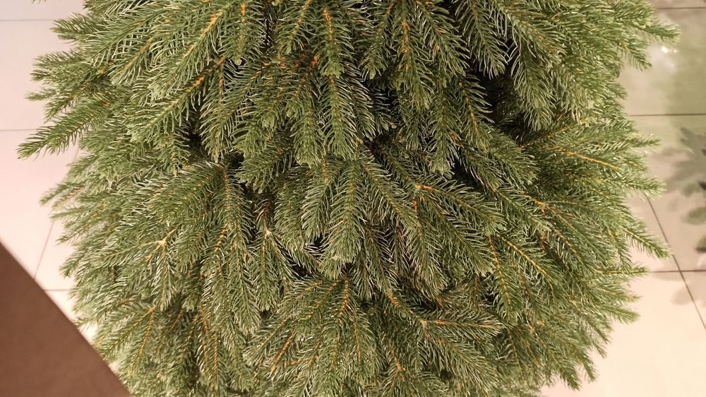 Ель искусственная «Дворянская» (Литая хвоя) 150 см / 1.5 м