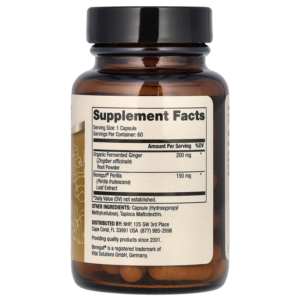 Dr. Mercola, ферментированный имбирь с бенегутом, 60 капсул