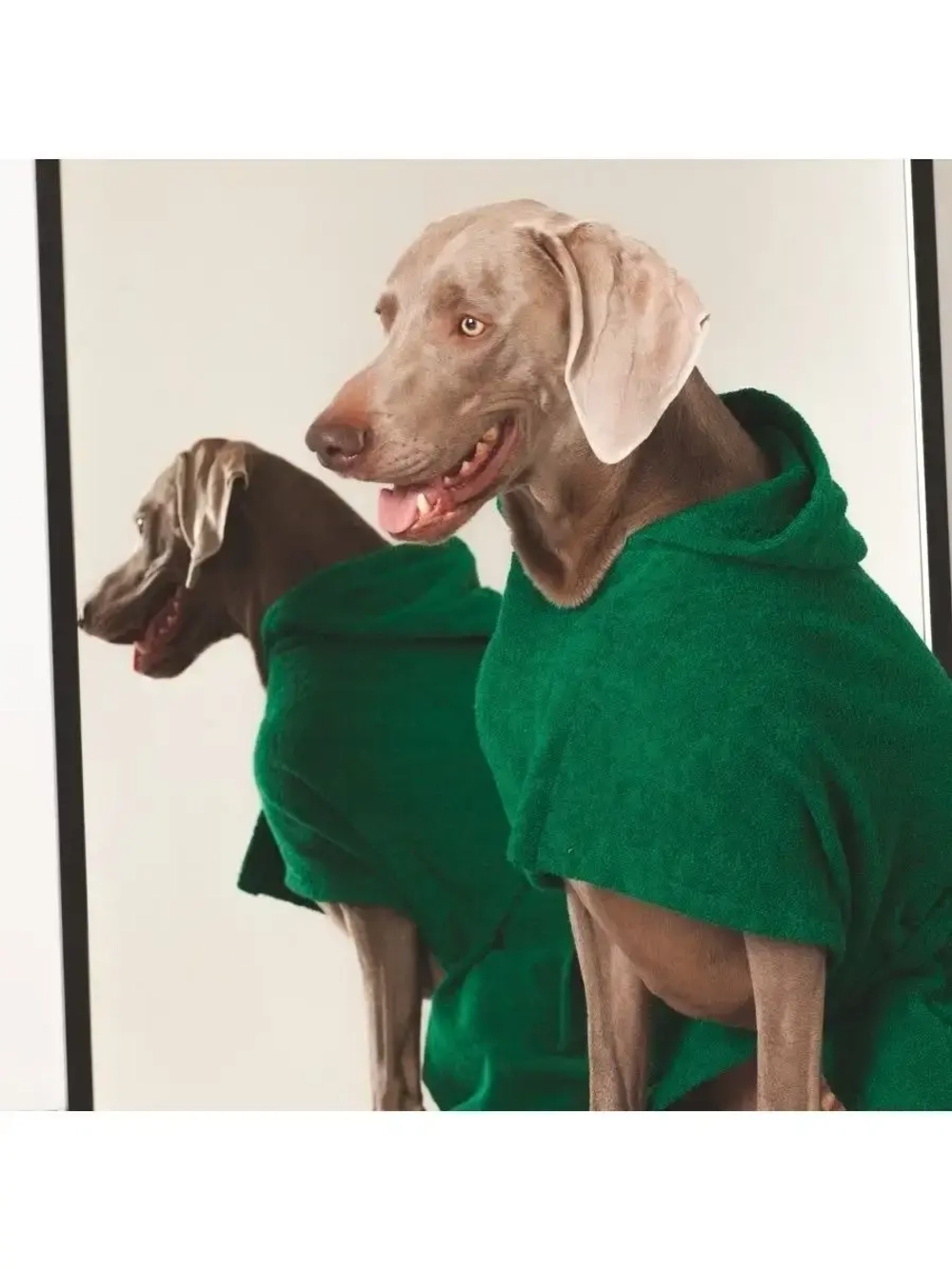 Халат для собак полотенце для животных для всех пород