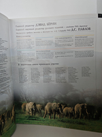 Животные. Большая иллюстрированная энциклопедия животных всего мира