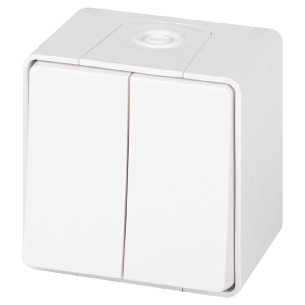 Переключатель ЭРА Эксперт 11-1506-01 двойной IP55 10АХ-250В ОУ белый