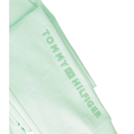 спортивные штаны Tommy Hilfiger - мятный(KG0KG06272)