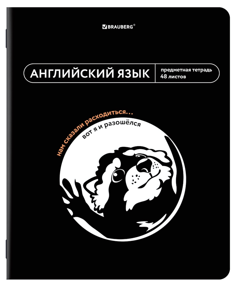 Тетрадь предмет. А5 48л. клетка "Мемы" Английский twin лак, подсказки (BRAUBERG)